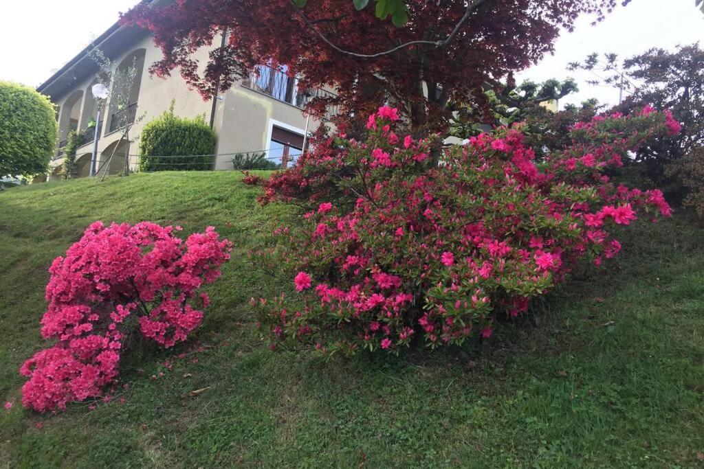 A Casa Di Sissi Διαμέρισμα Μπιέλλα Εξωτερικό φωτογραφία