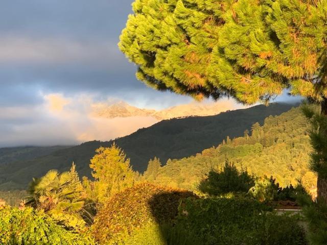 A Casa Di Sissi Διαμέρισμα Μπιέλλα Εξωτερικό φωτογραφία